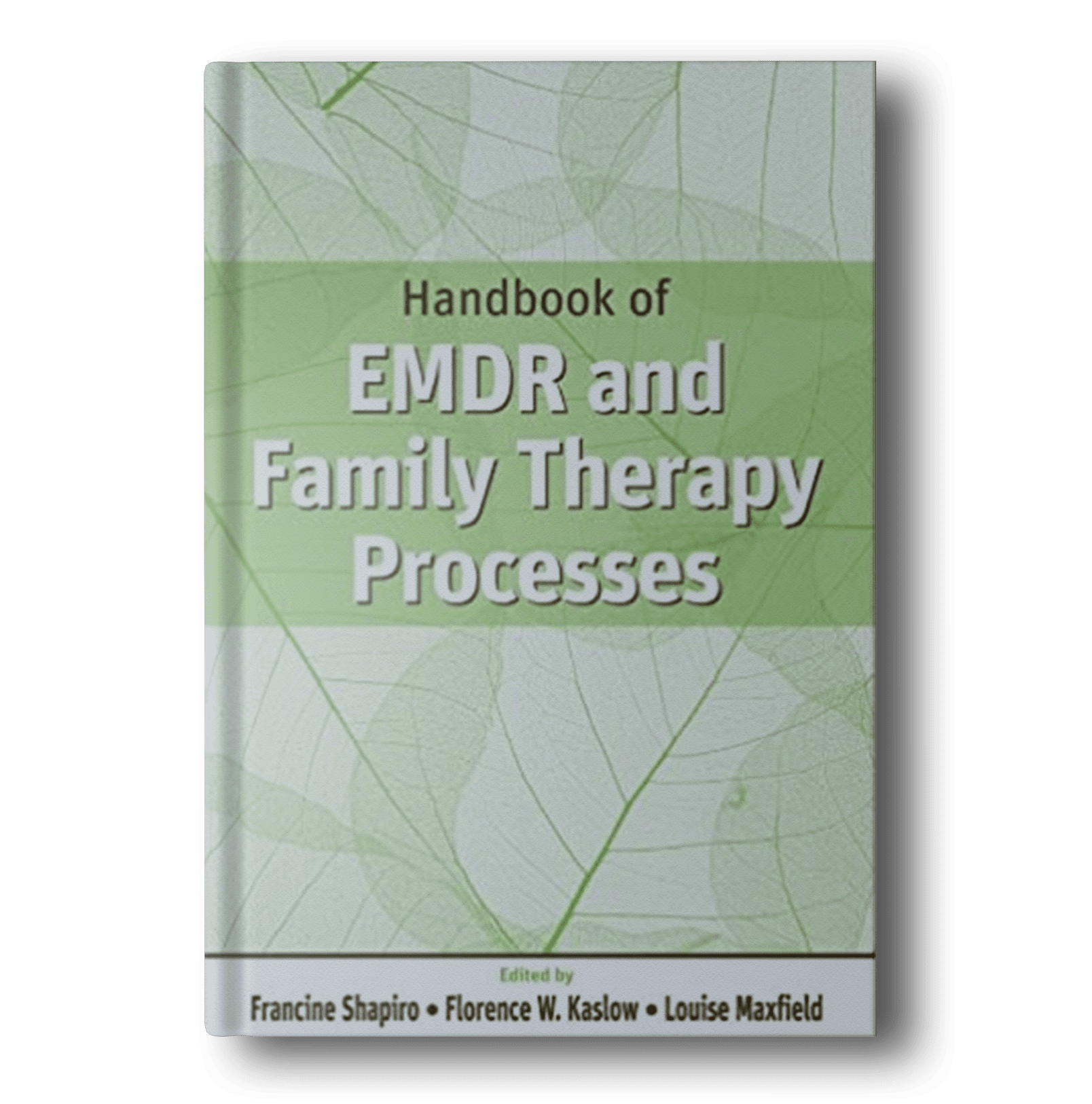 Handbook-of-EMDR-and-Family-Therapy-Processes